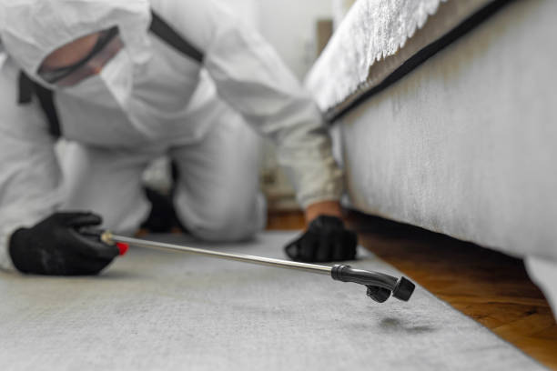 Professional Bed Bug Control technician working in Flatwoods, KY